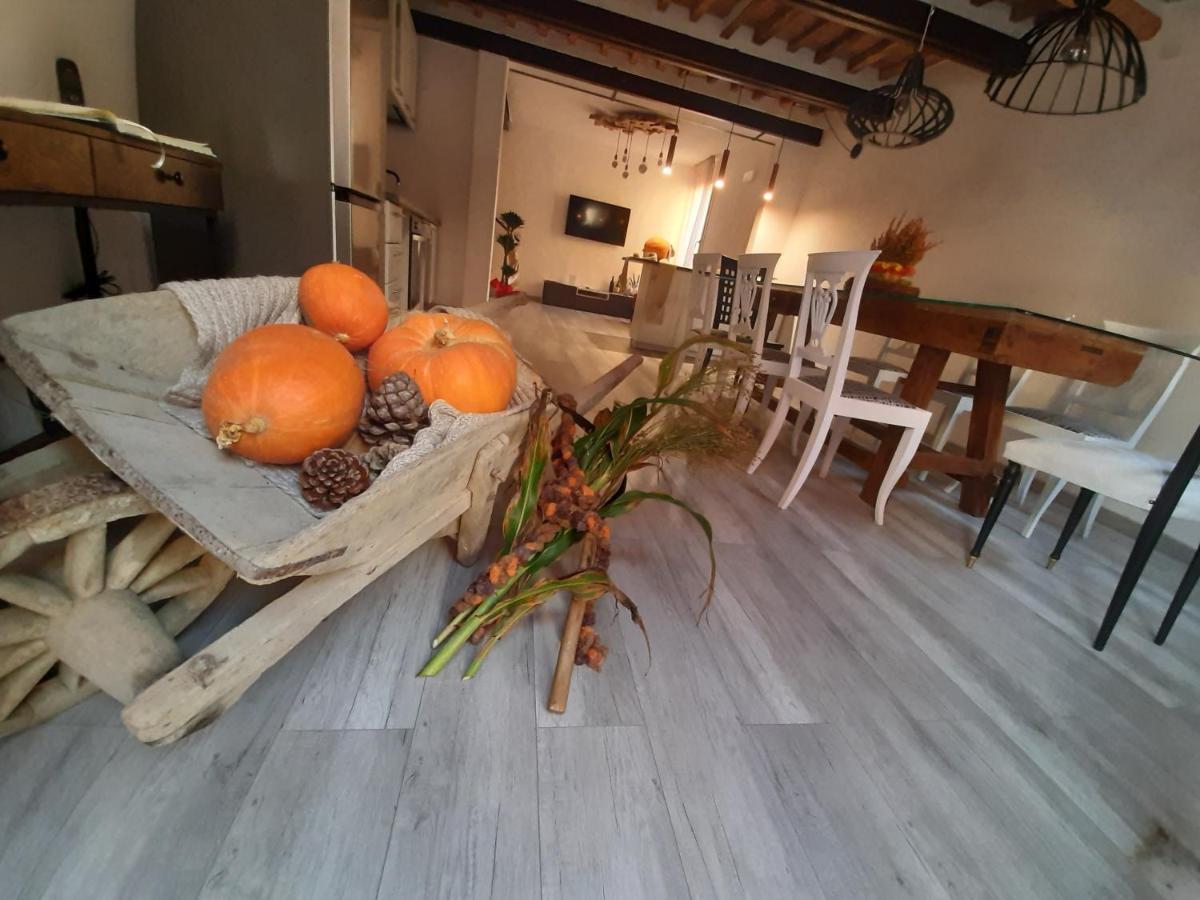 B&B Da Baba Ghizzano Zewnętrze zdjęcie